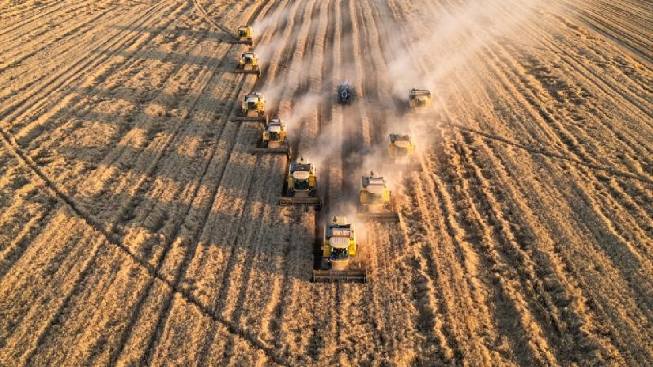 Son Dakika! TMO 2025 Yılı Hububat Alım Fiyatları Belli Oldu
