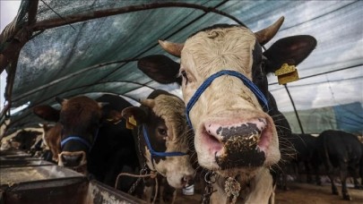 2025 Kurban Bayramı Tatili Uzatıldı Mı? Tatil Kaç Gün?